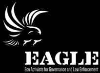 EAGLE Network