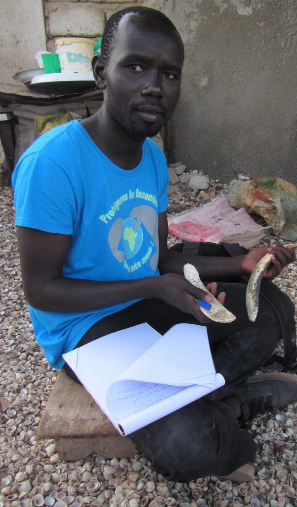 Ibrahima Ndong - Research Assistant
