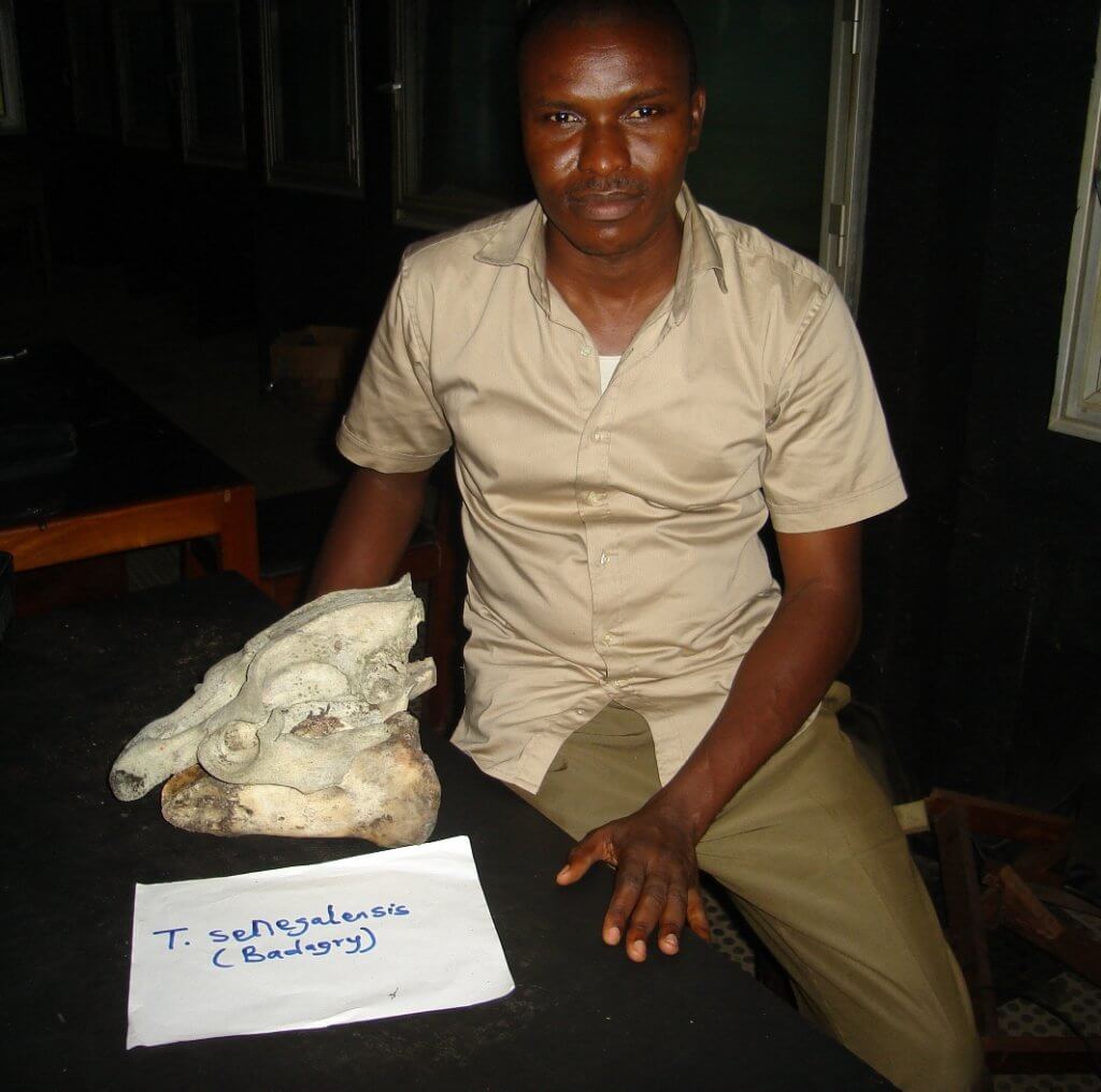 Uzoma Ejimadu