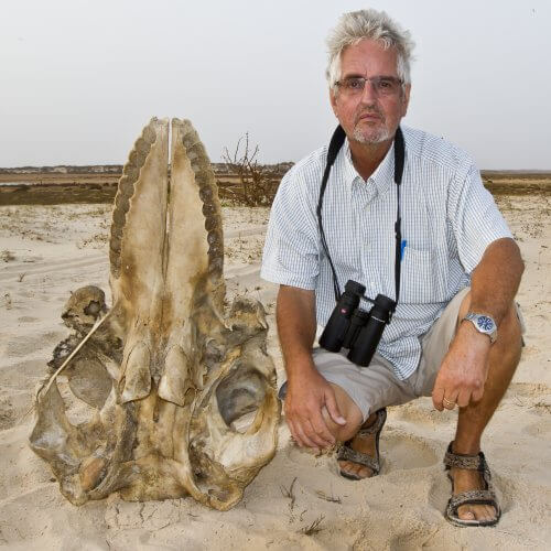 Wim Mullié, Conseiller Scientifique - African Aquatic Conservation Fund