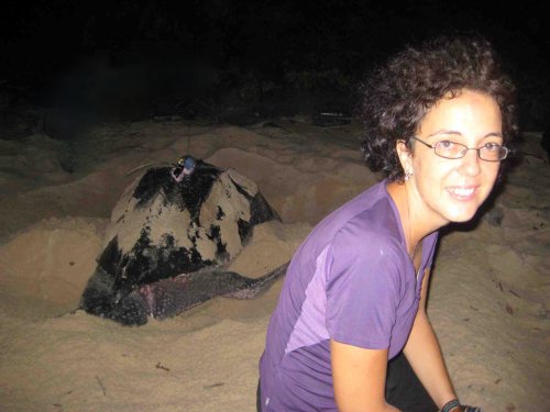 Angela Formia, Directeur du Programme des Tortues Marines Africains - African Aquatic Conservation Fund